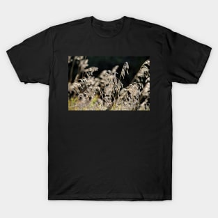 Meadow Grass T-Shirt